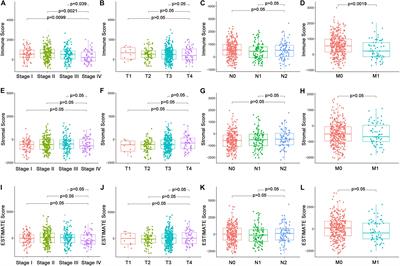 TGFβ1: An Indicator for Tumor Immune Microenvironment of Colon Cancer From a Comprehensive Analysis of TCGA